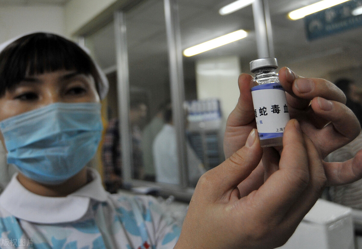 福建女子被蛇咬后续,福建女子被狗咬伤视频