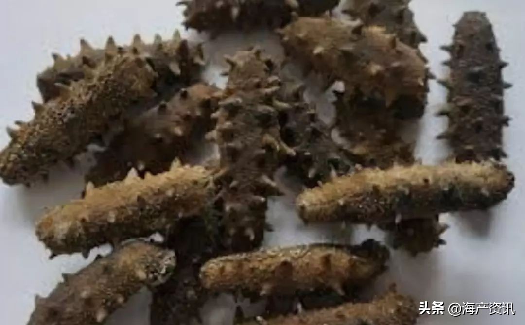 加拿大进口即食海参,加拿大超市抢购现状