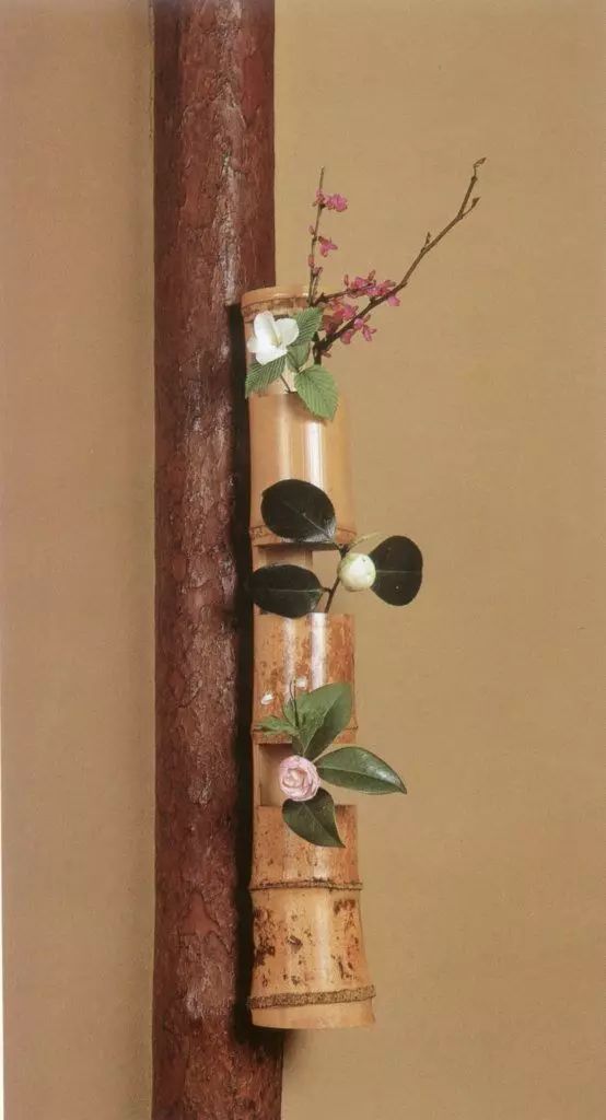 教你怎么学插花,小白零基础怎么学插花