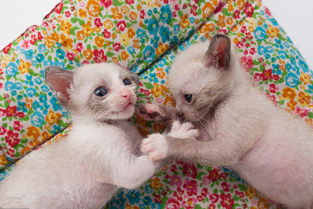 遇到冷淡的老婆怎么办,遇到刁蛮的老婆该怎么办