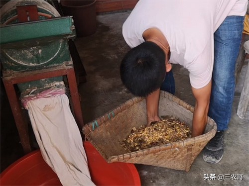 农村现在挣钱的门路有哪些,农村不起眼的挣钱门路有什么