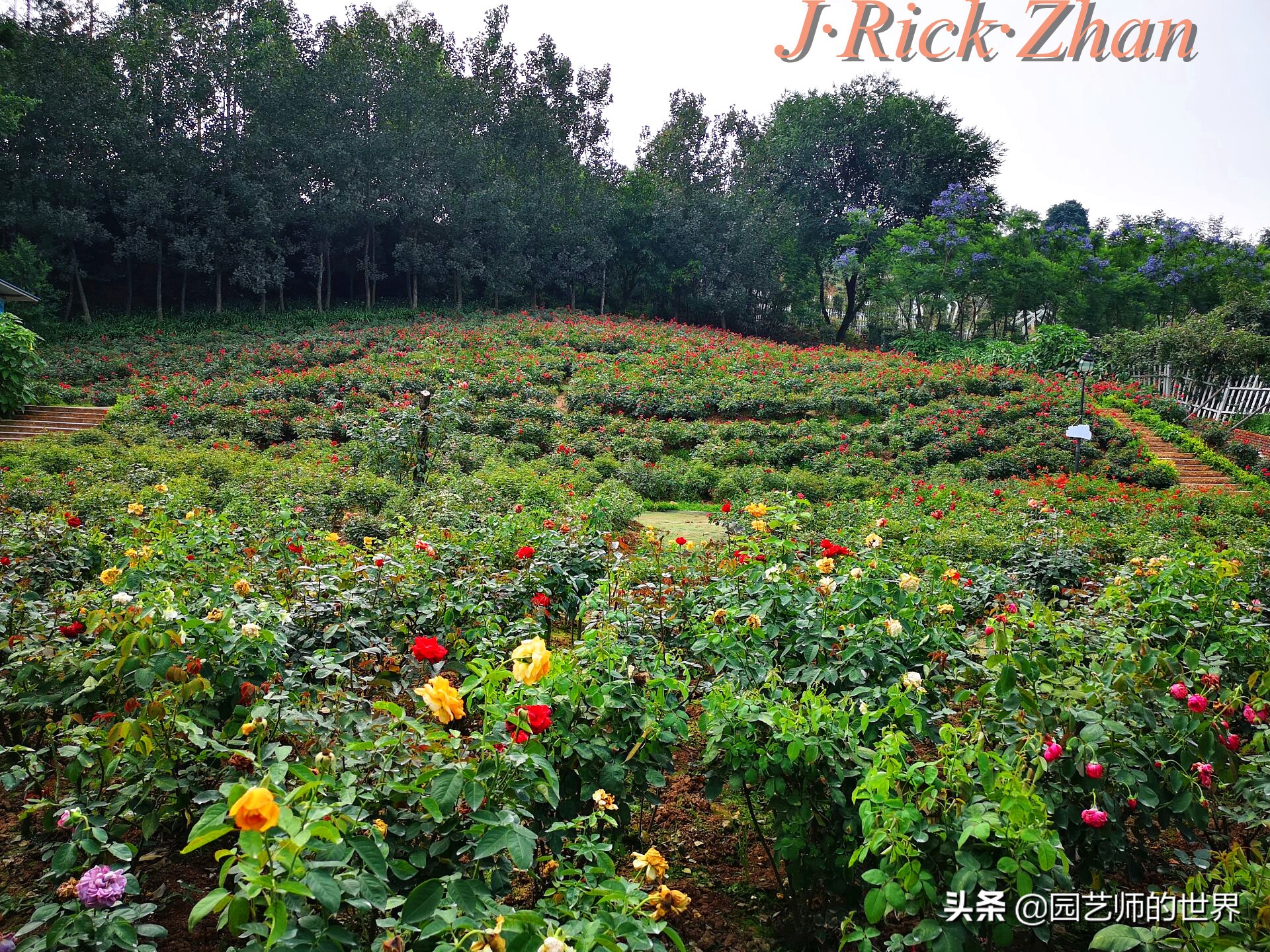 值得参观的国内优秀花园之品鉴（上篇）