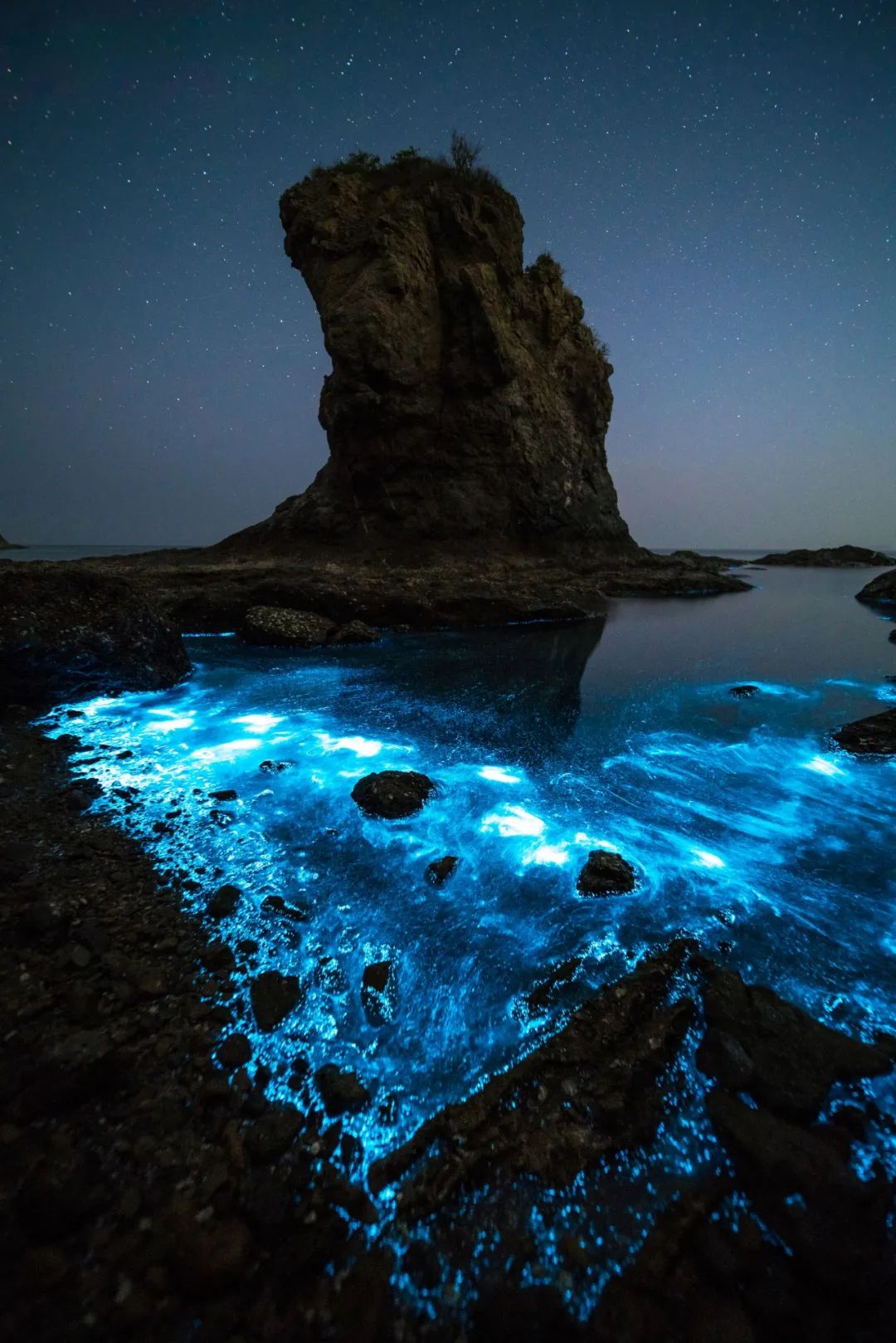 “蓝眼睛”迎来大爆发！现实版“奇幻漂流”，大海已经美成星河