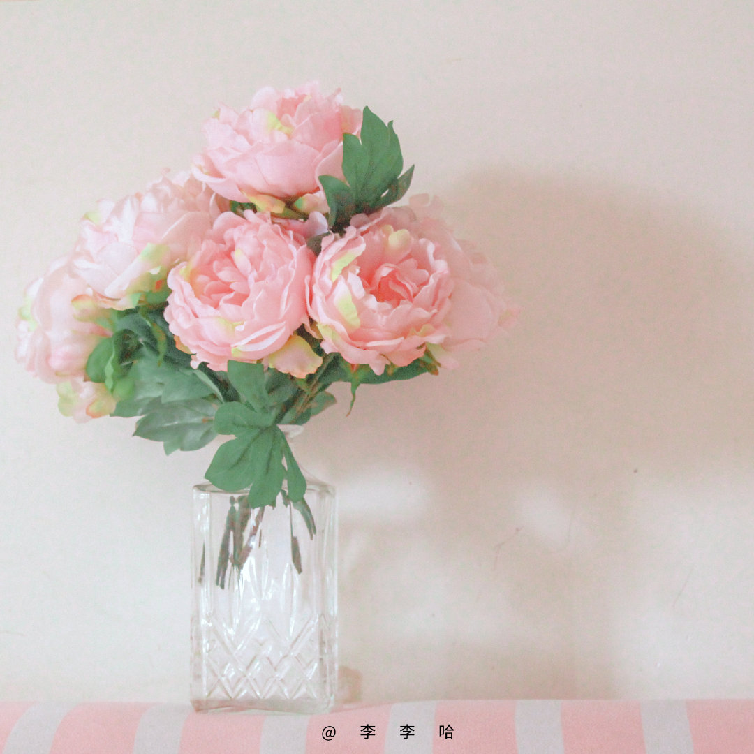 朋友圈背景图一组治愈系背景图,干净好看治愈系背景图高清全屏