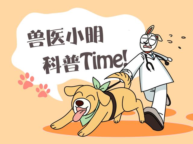 液体猫爬楼梯,液体猫下楼梯原视频