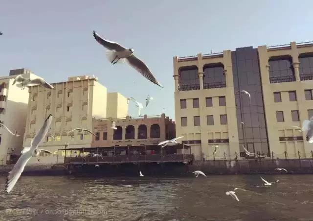 迪拜旅游最便宜的方法,迪拜游玩攻略省钱吗