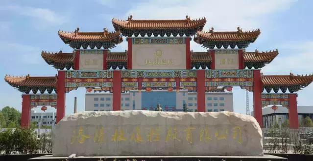 河南杜康酒业官网,豫酒振兴宝丰酒厂