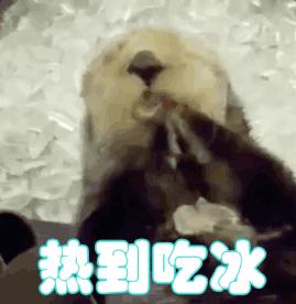 总结一下英国的天气,说一下英国的天气