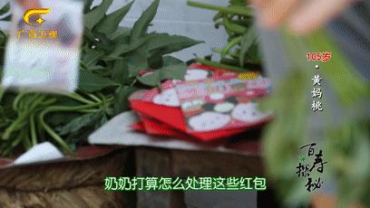 巴马长寿村10年候鸟人真实现状,最新巴马候鸟人真实讲述