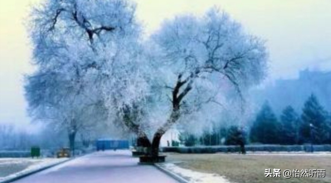 哪些是赞美老师的句子,赞美幼儿园老师的诗句古诗