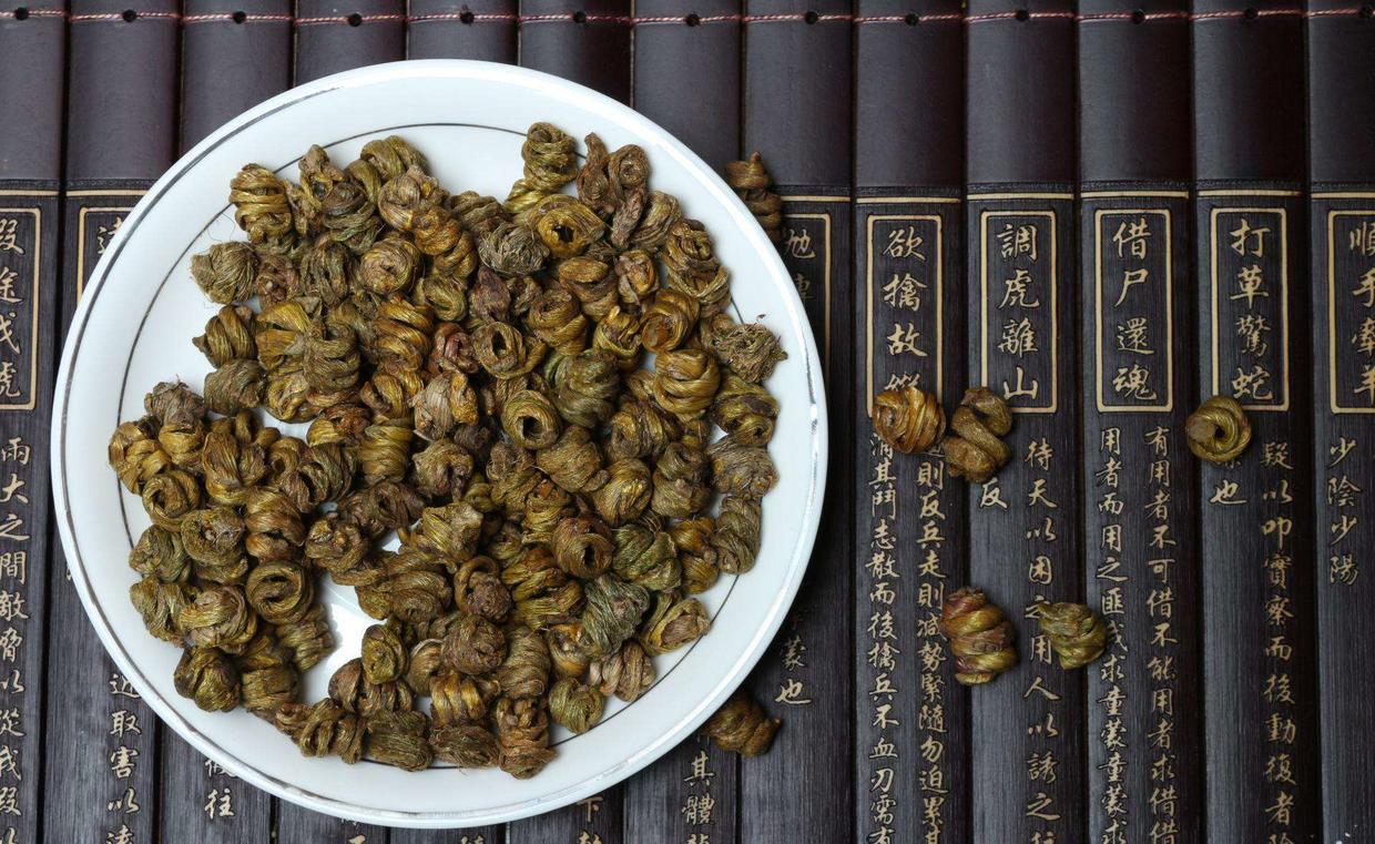 长在石头上的石斛,可以种石头上的石斛有哪些品种