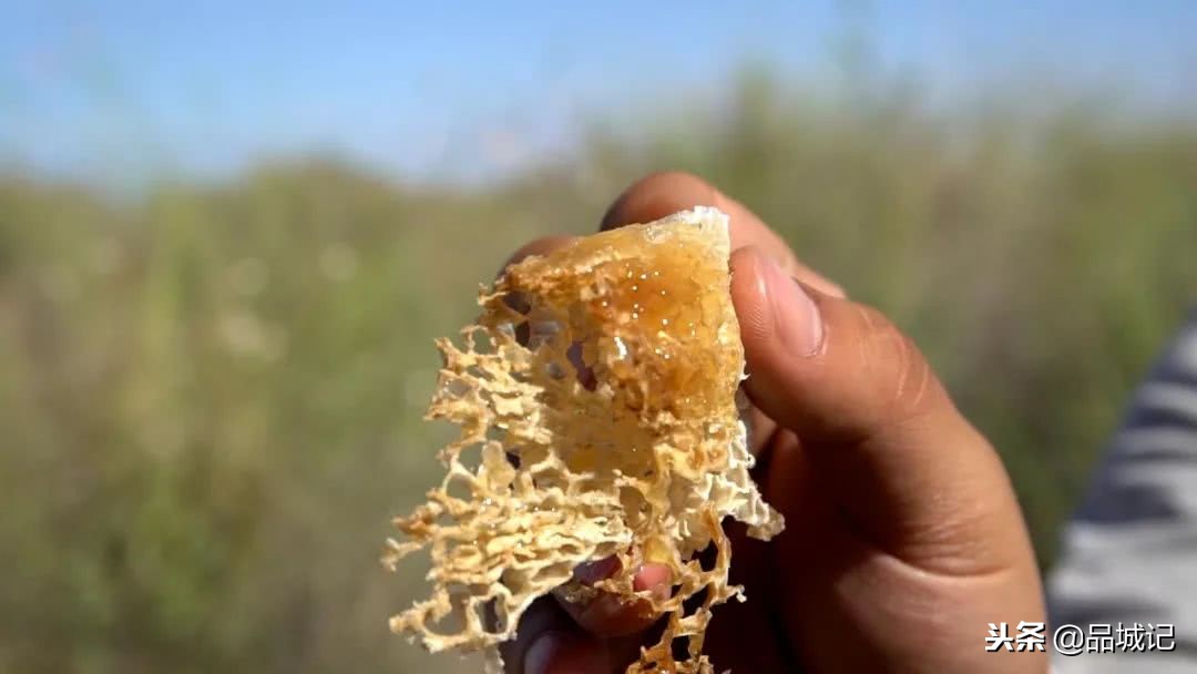 真的很honey！佐餐冲调皆宜的*疆新**伊犁黑蜂蜜，办公室必备！