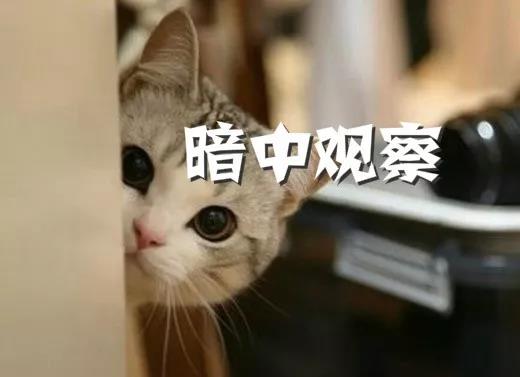 好色之徒的代价,好色的代价