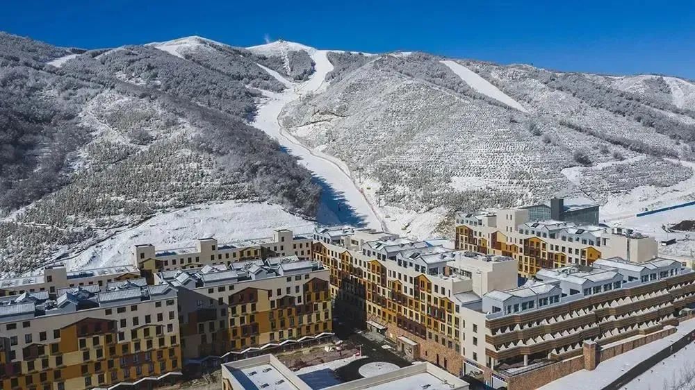 滑雪危险事故,滑雪伤亡事件的教训和建议