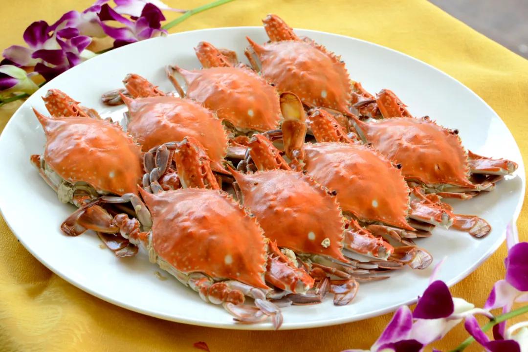 溯乡源、忆乡景、述乡俗，带你走进不一样的家乡秦皇岛