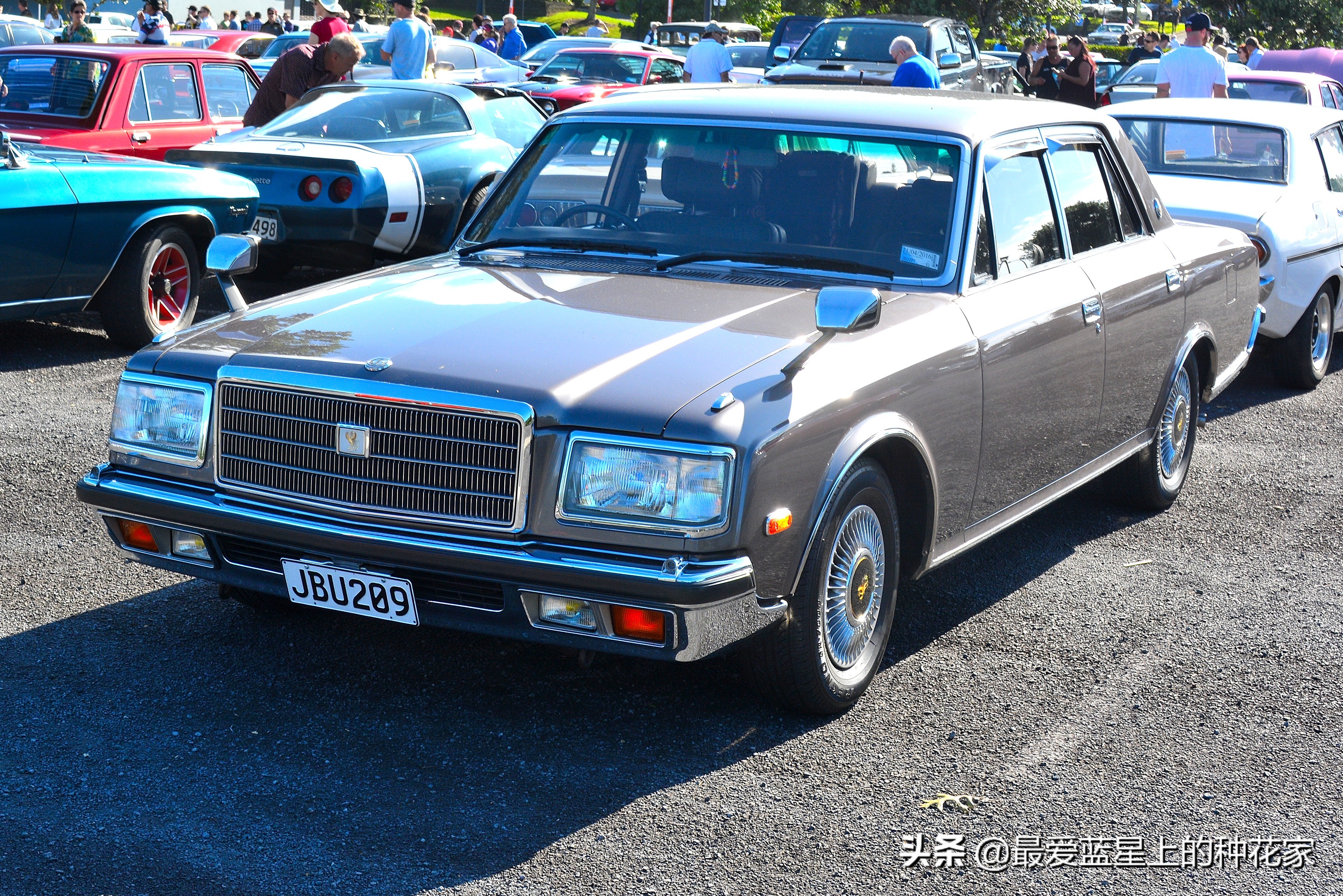 这款车到底是什么来头,这款车被誉为平民神车