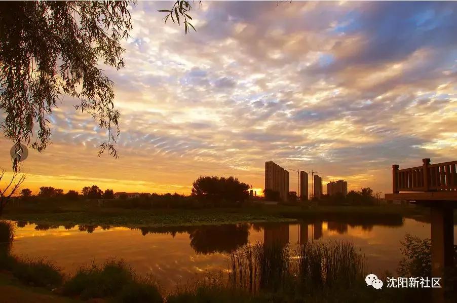 活成自己想要的模样沈北新区,你可能还不知道