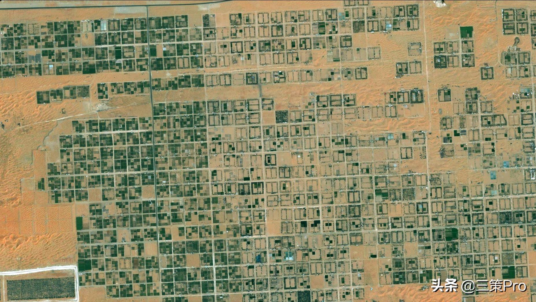 沙漠玫瑰阿拉伯视频,沙漠玫瑰在阿联酋