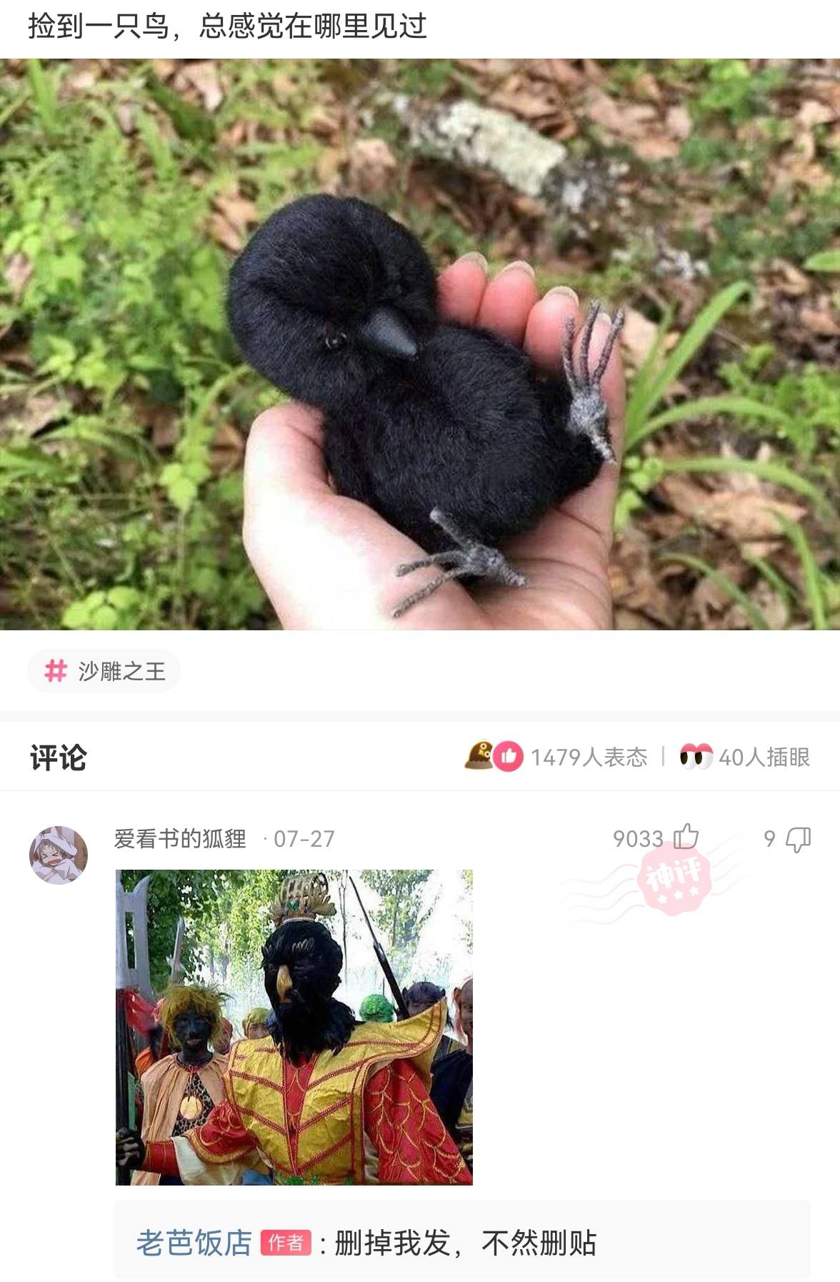 搞笑神评女孩子,搞笑日本妹子对话