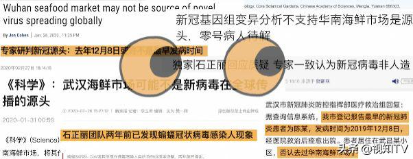 如何告别杠精,如何一句话让杠精闭嘴