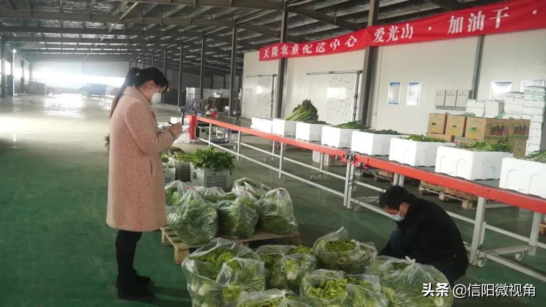 信阳光山蔬菜直通车开进北京城,蔬菜直通车进家门口