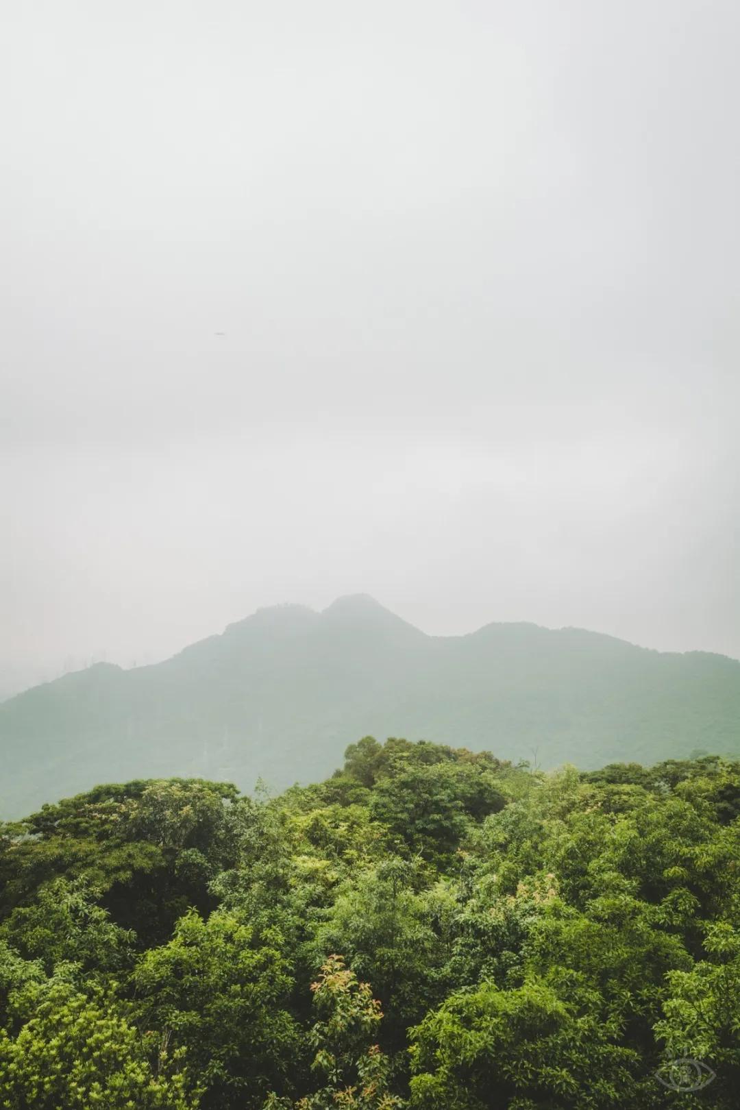 深圳值得打卡的建筑物,深圳最值得打卡的山