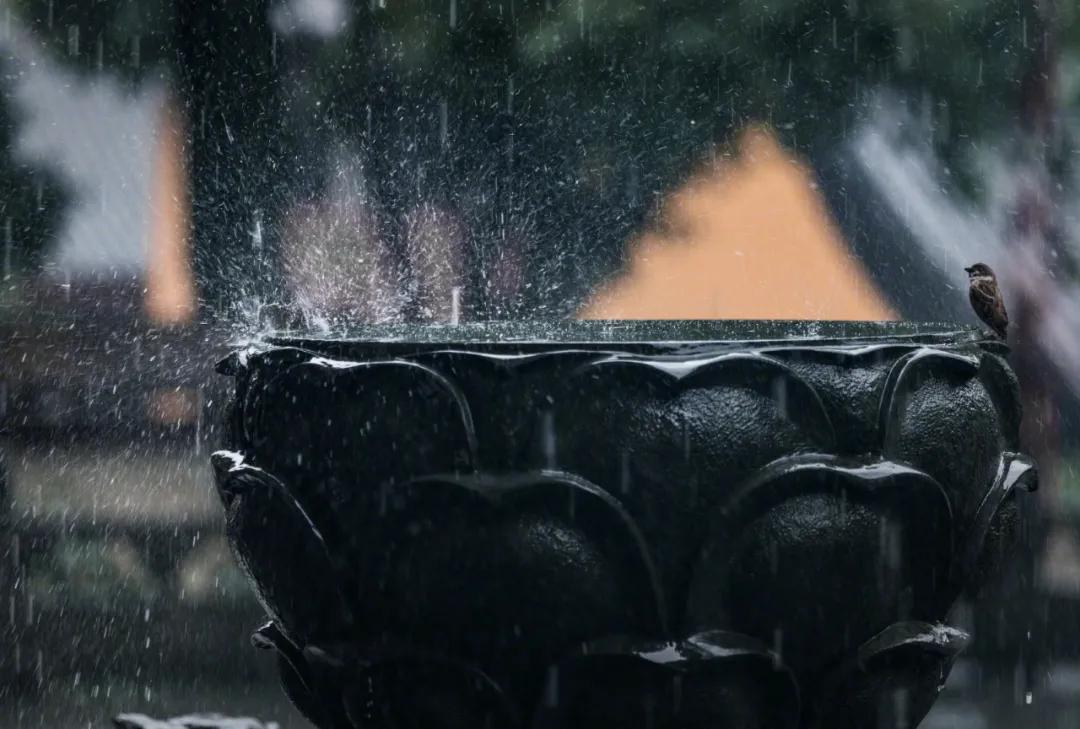 科学家张衡发明地动仪的故事文字,张衡发明地动仪的历史典故