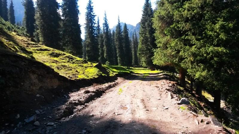 带上UL从狼塔C回家