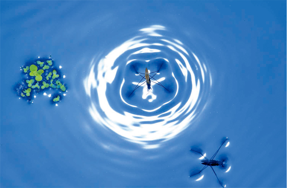 程斌摄影师,程斌摄影师作品