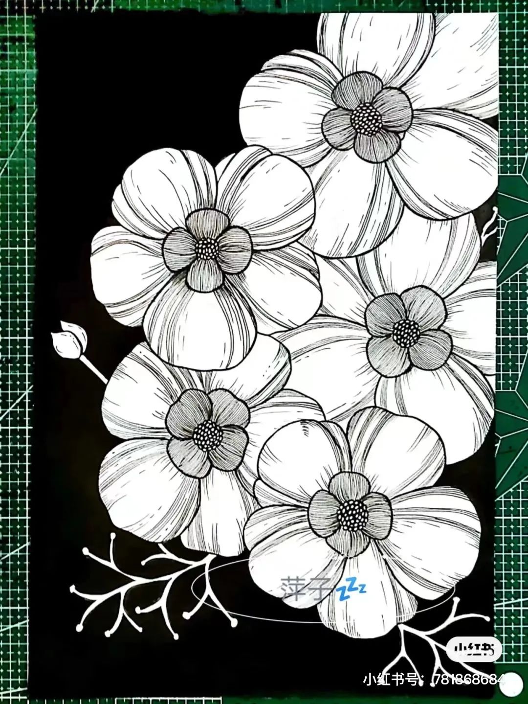 花卉简单线描创意画,花草线描画装饰