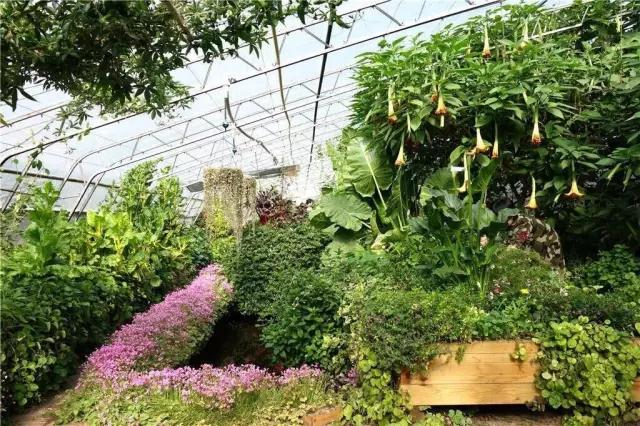 20亩农场一年赚多少钱,20亩地的农场该怎样赚钱