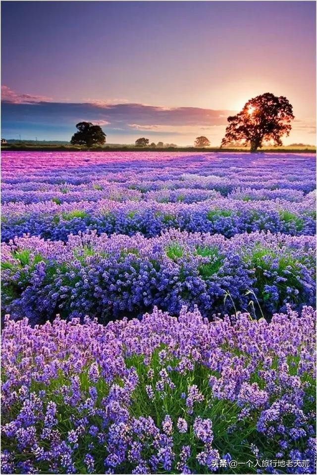 情侣必去的十大旅行胜地,中国情侣必去的国内十大浪漫圣地