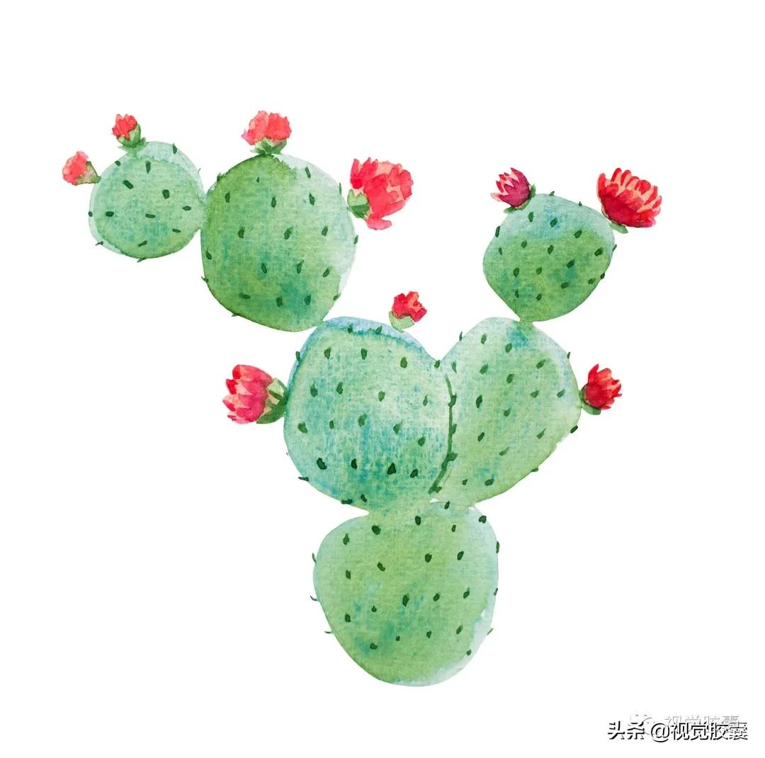 乡村蔬菜大棚的设计,蔬菜精美设计图片