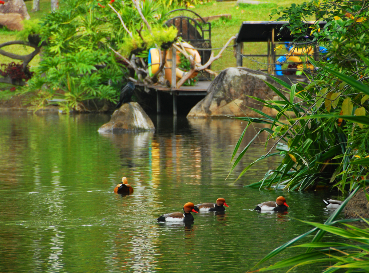 三亚三日游攻略必去景点,三亚除了呀诺达还有什么值得玩