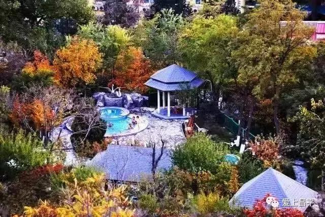 冷冬来袭,寒潮来袭快收下这份过冬锦囊吧