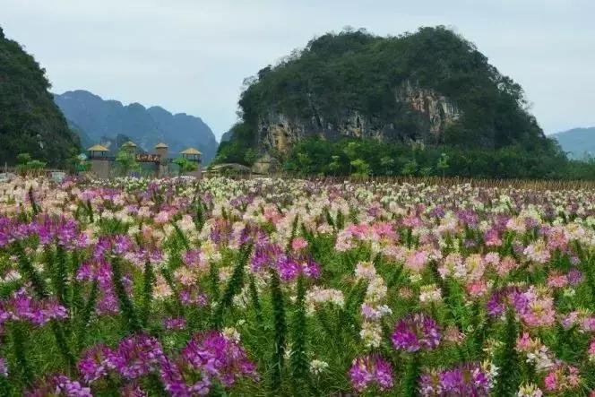 京郊好玩的,京郊最值得旅游的地方
