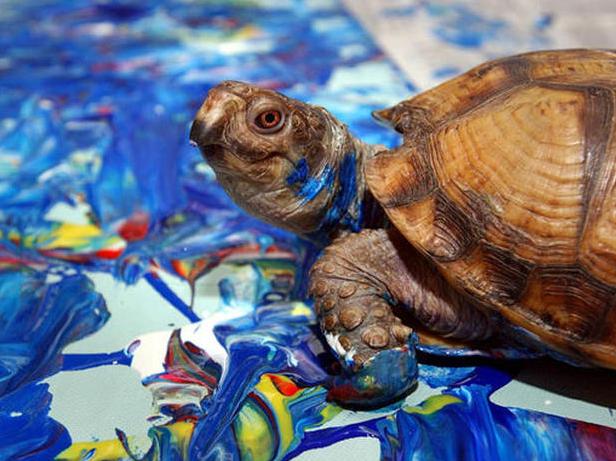 老鼠画画作品逼真,老鼠画画作品