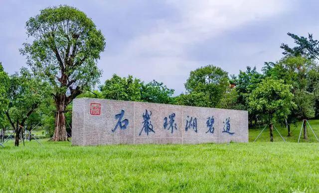 深圳免费公园哪里最好啊,深圳十大免费公园景点大全