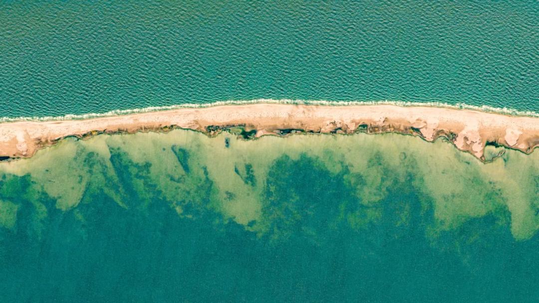 冰川融化陆地减少,第四纪冰川对人类进化