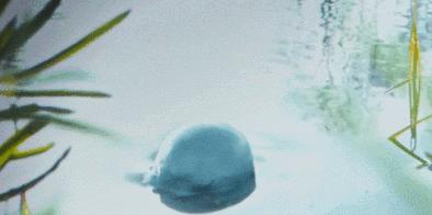 「小黄」在手他竟一次未撸,真狠!