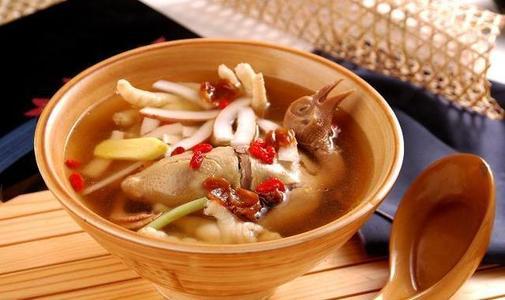 鸽子身上有飞翔感觉,鸽子很有灵性