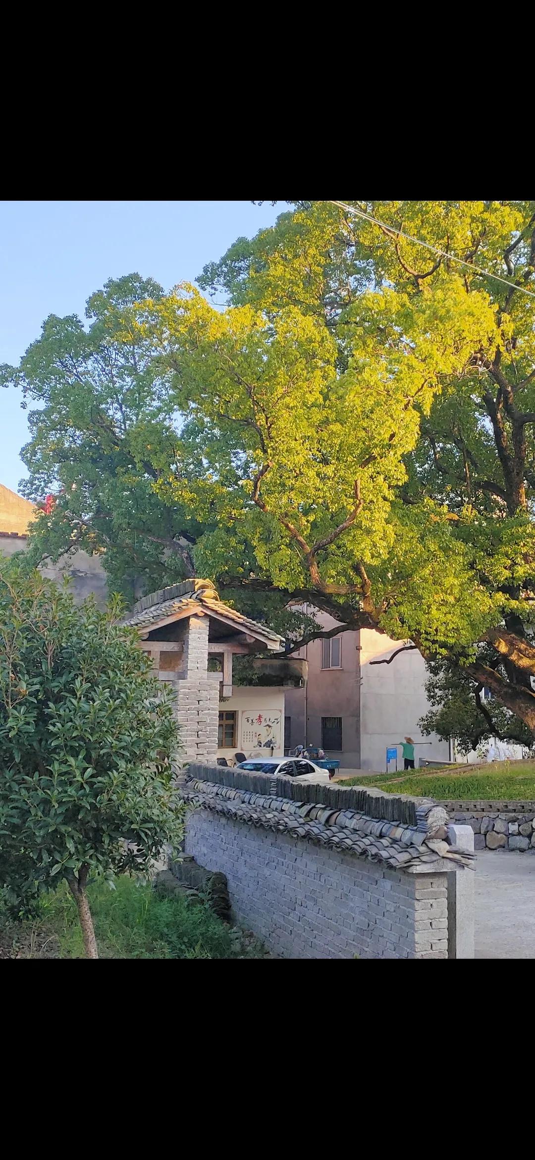 孩子想外婆怎么办,想外婆