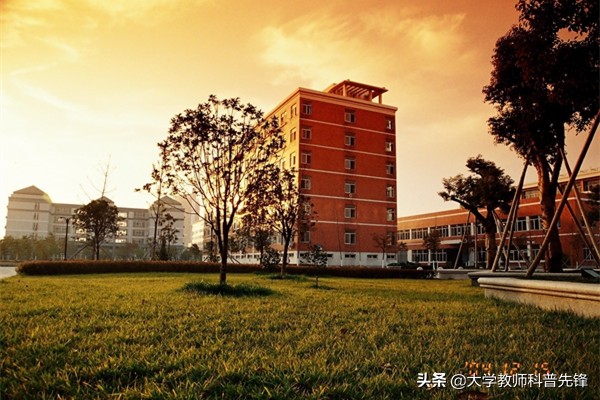 浙江双高大专学校及优势专业,浙江双高院校名单