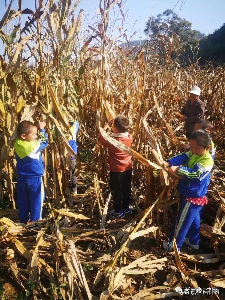 金太阳幼儿园校门,延安市甘泉谢金庄幼儿园