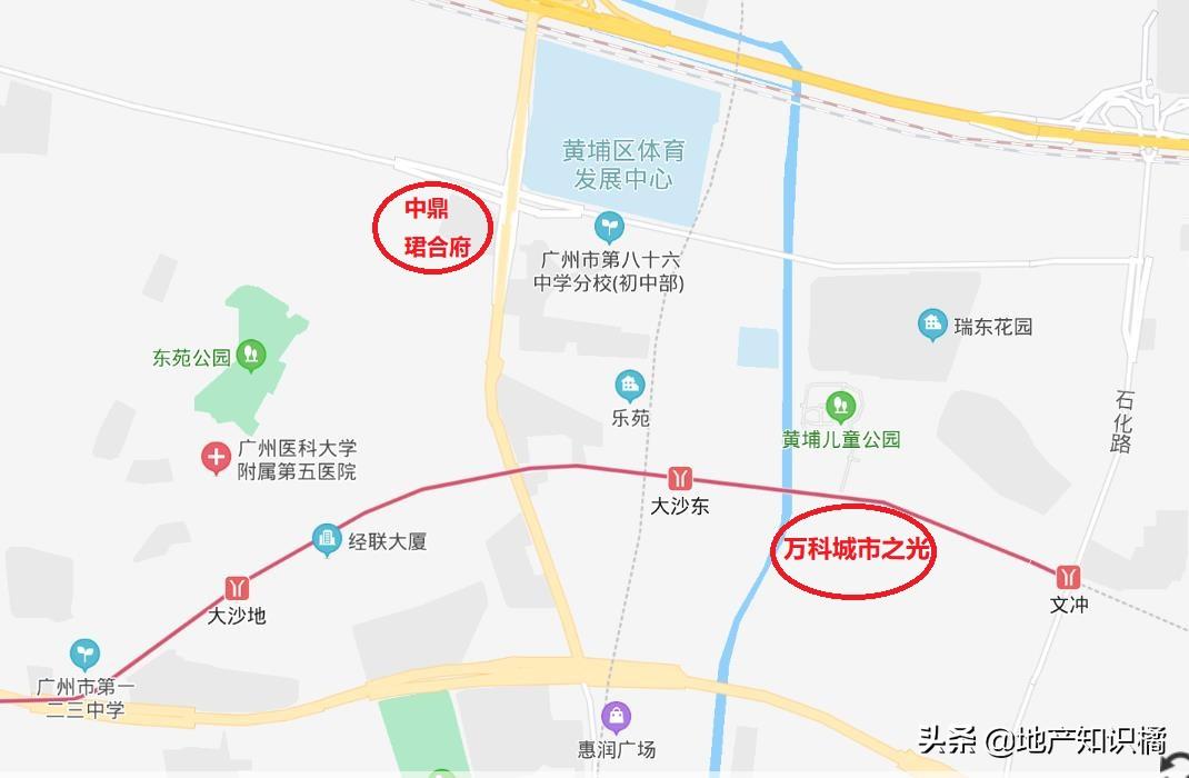 “鸽王”老黄埔终于要上新了！你还在等吗？