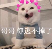 七夕节福利大派送,七夕福利大放送