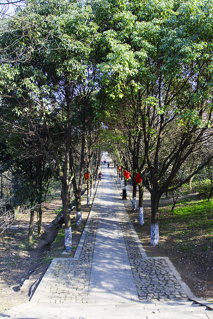 沙家浜—全国著名红色经典景区