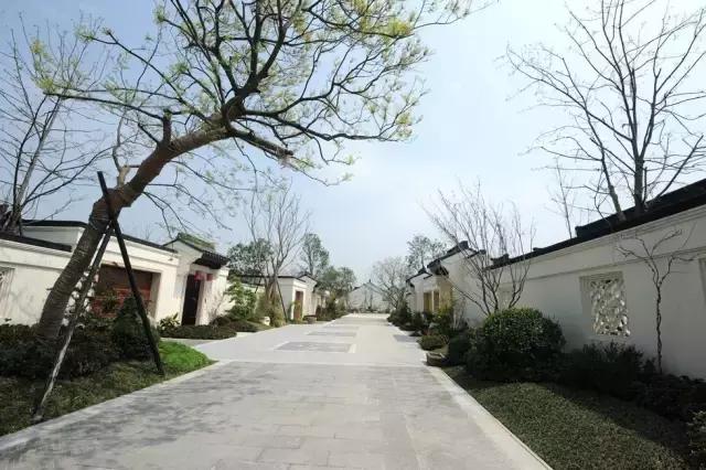 乌镇雅园养老公寓开发强度,绿城乌镇雅园养老院营销模式