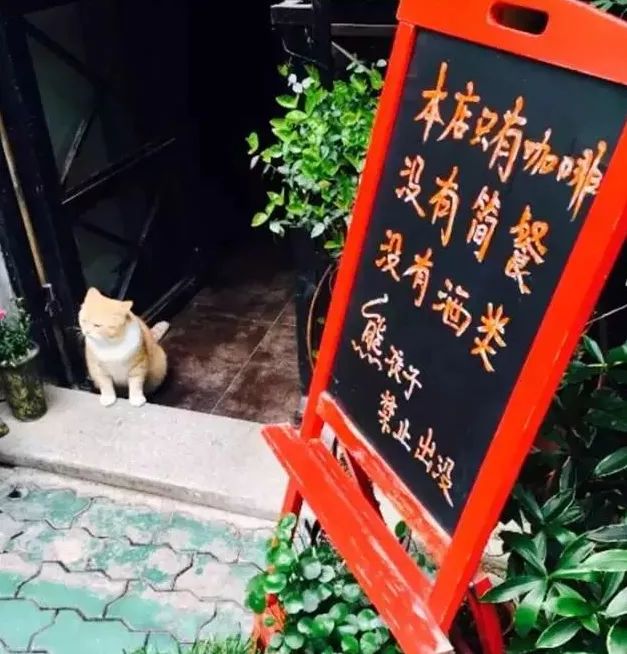 武汉江景咖啡馆排名前十名,探店武汉咖啡店