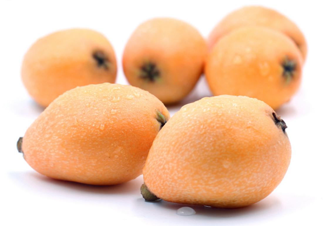 种植枇杷果的小技巧,枇杷有哪些病虫害防治